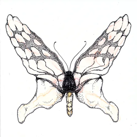 Illustration 7