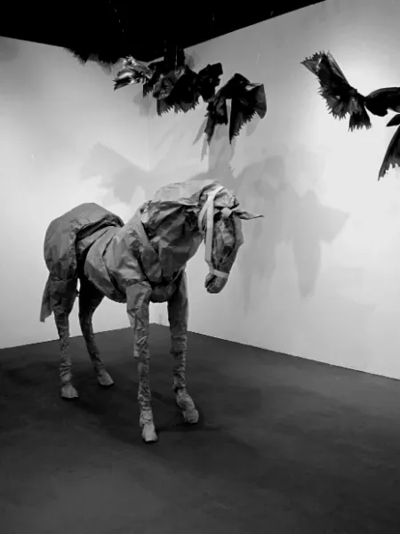 Exhibition 6