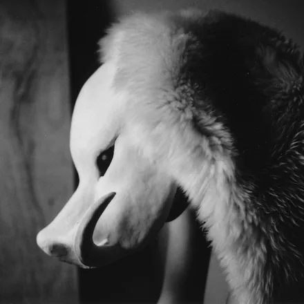 Exhibition 34