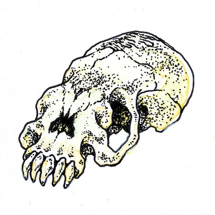 Illustration 12