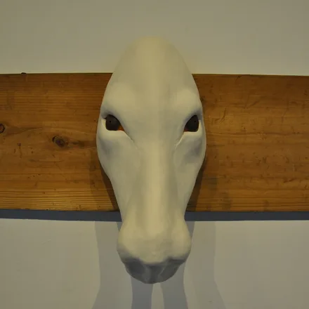 Exhibition 44