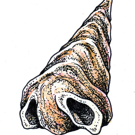 Illustration 11