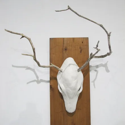 Exhibition 14