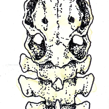 Illustration 10